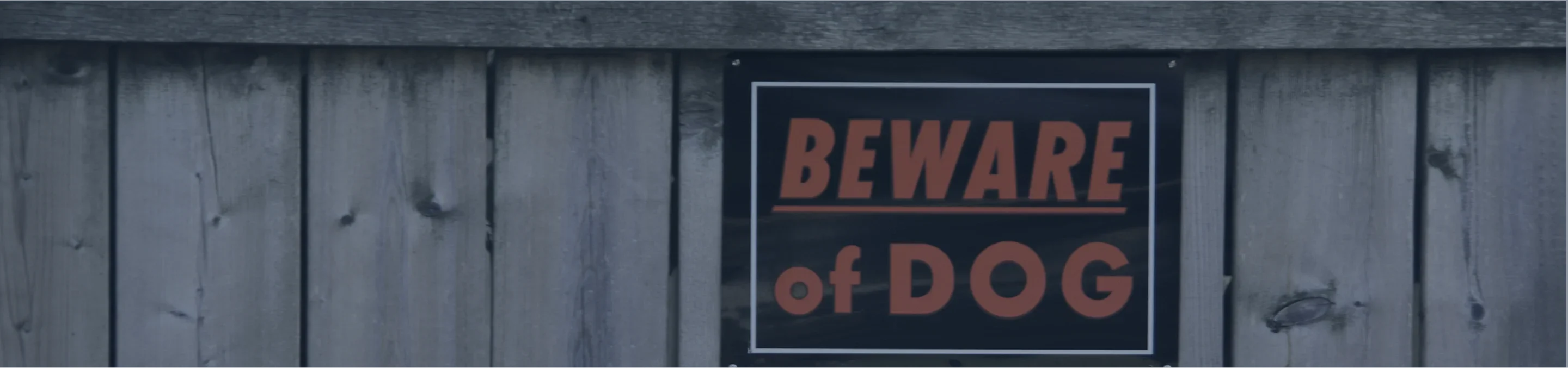 Dog Bites