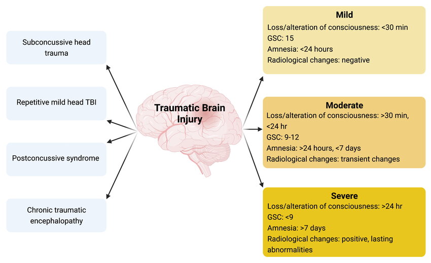 Infographic showing traumatic brain injury classification as mild, moderate, and severe based on loss of consciousness, GCS score, amnesia duration, and radiological findings, with related conditions including subconcussive head trauma, repetitive mild TBI, post-concussive syndrome, and chronic traumatic encephalopathy.